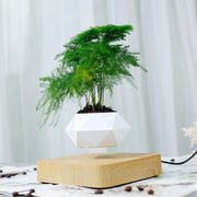 The Urbio™ - Levitating Plant Pot